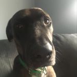 Ethan - @ethan_r_blades - Instagram