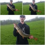 Ethan Blank - @blanke19 - Instagram