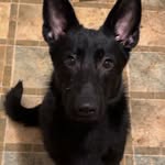 Ethan Blankenship - @ethanblankenship_ - Instagram