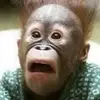 ethanblanton482 - @ethanblanton482 - TikTok