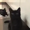 ethan.bloch - @ethan.bloch - TikTok