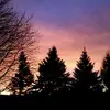 Ethan bloomfield - @ethan.bloomfield - TikTok