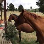 Ethan Blythe - @ethanblythe7 - Instagram