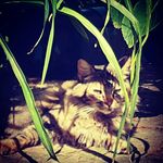 Ethan - @ethanboden06 - Instagram
