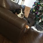 Ethan - @ethanbodnaruk - Instagram