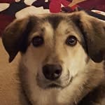Ethan Bollinger - @ethan_bollinger - Instagram