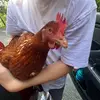 Ethan Bonner - @ethan._priv24 - TikTok