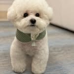 Ethan bonner_7713 - @ethanbonner_7713 - Instagram