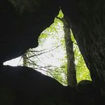 Ethan Boone - @moistygarbage - Instagram