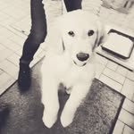 Ethan Borgers - @borgersethan - Instagram