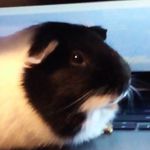 Ethan BORON - @seathan9 - Instagram