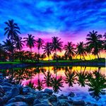 Ethan Bothwell - @bothy03_ - Instagram