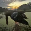 ethan.boucher - @ethan.boucher - TikTok