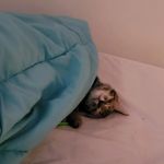 ethan bourque - @ethanbourque2010 - Instagram
