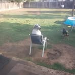 Ethan Bowling - Facebook