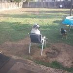 Ethan Bowling - @ethanbowling618 - Instagram