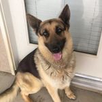 ethan - @ethan.bowling.65 - Instagram