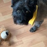 Ethan Boyes - @ethan__boyes - Instagram