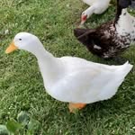 Ethan - @ethanbranch07 - Instagram