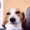 Ethan Bravo - @ethan.bravo6 - TikTok