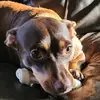 Ethan Brehm - @ethan.brehm - TikTok