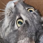 Ethan - @ethan.brehm0.0 - Instagram