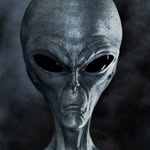 ethan brookes - @ethanbrookes8176 - Instagram