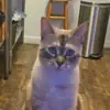Ethan Bruce - @ethan.bruce18 - TikTok