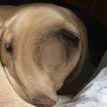 Ethan - @ethan_bryce4 - Instagram