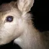 ethanbuck00 - @ethanbuck00 - TikTok