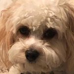 Ethan Buckner - @ebuckner_ - Instagram