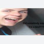 Ethan Burd - @ethan_a_burd - Instagram
