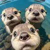 Ethan Burnett - @ethan.burnett4 - TikTok