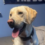 Ethan Button - @ethanbutton78 - Instagram