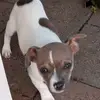 laethan.caban - @laethan.caban - TikTok