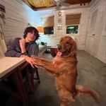 Ethan Cain - @hiddenvalleyethan - Instagram