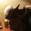 Ethan Cain - @ethan.cain5 - TikTok
