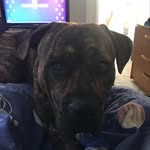 Ethan Cairns - @ethan_spaz - Instagram