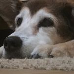Ethan Calhoun - @ethan_calhoun - Instagram