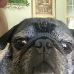 Ethan Callahan - @ethan.callahan.35 - Instagram