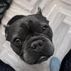Ethan cannon - @ethan._official._account - TikTok