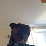 Ethan Cantwell - @ethangk8704 - Instagram