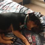 Ethan Cantwell - @ethan_cantwell_ - Instagram