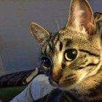 Ethan Cao - @ethancaooooo - Instagram