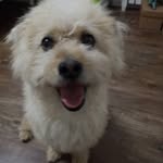 Ethan. cao - @ethan.caoy - Instagram