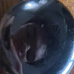 Ethan Cardinale - @ethancardinale - Instagram