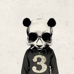 Ethancardinal - @ethancardinal2758 - Instagram