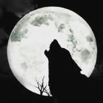 Ethan Carmichael - @_master_of_death_3 - Instagram