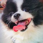 Ethan Cheng - @ethan.chenggg - Instagram