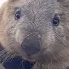 Ethan cheng - @ethan.cheng07 - TikTok